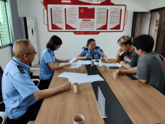 入浅出地阐明平台企业正在天分审核、消